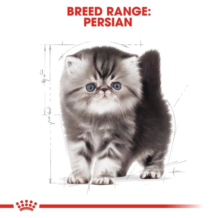 b3b85985fc4f3a9cdad4c55d4ff49854.webp FELINE BREED NUTRITION - KITTEN PERSIAN 4KG