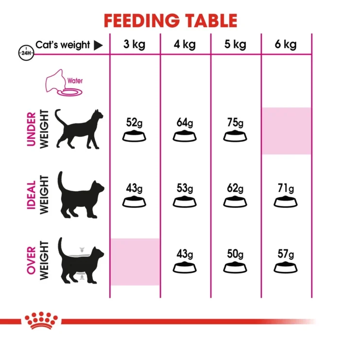 b9da97b893cbaf8de043caa1f98525b6.webp FELINE BREED NUTRITION - KITTEN PERSIAN 4KG